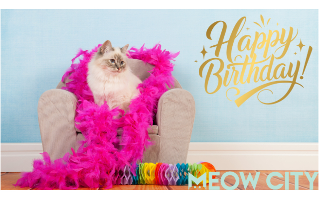 Meow City, LLC