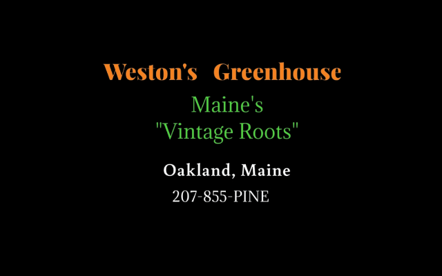 Maine Primitives