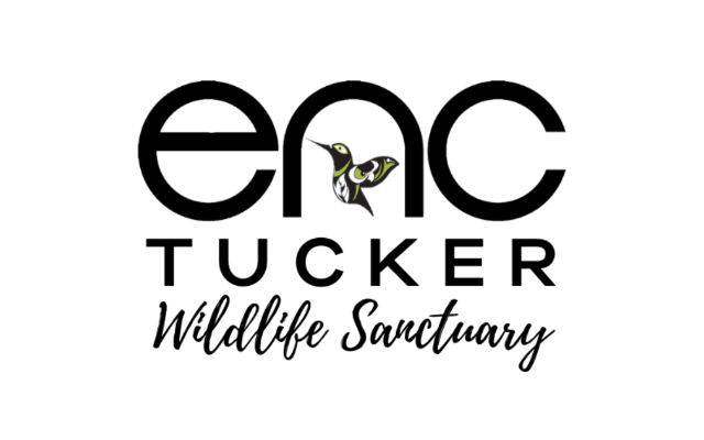 Environmental Nature Center