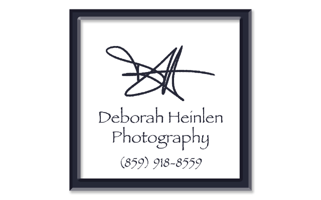 DHP - Heinlen Fine Art