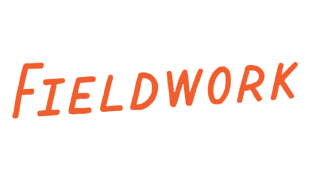 Fieldwork