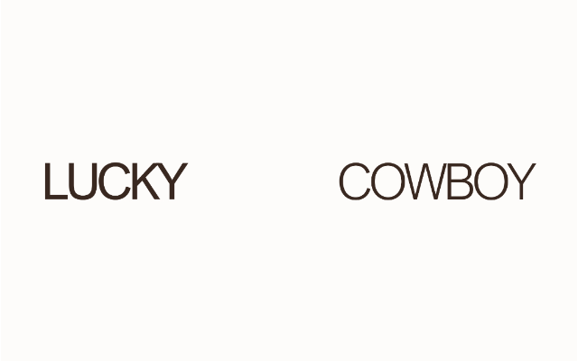 Lucky Cowboy LLC