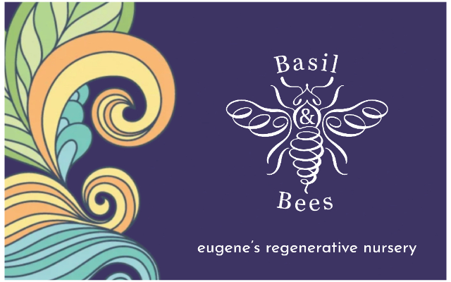 Basil & Bees