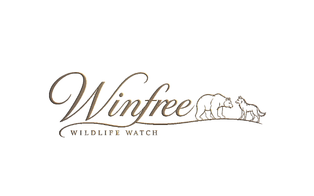 Winfree Wildlife Watch