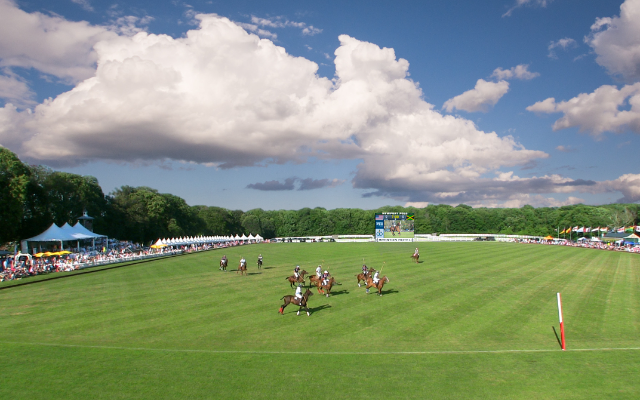 Newport Polo