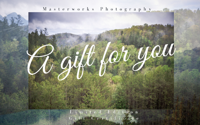 Masterworks Photography