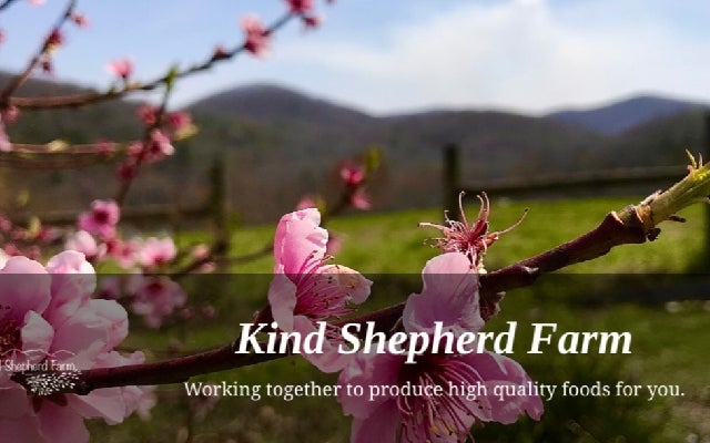 Kind Shepherd Farm