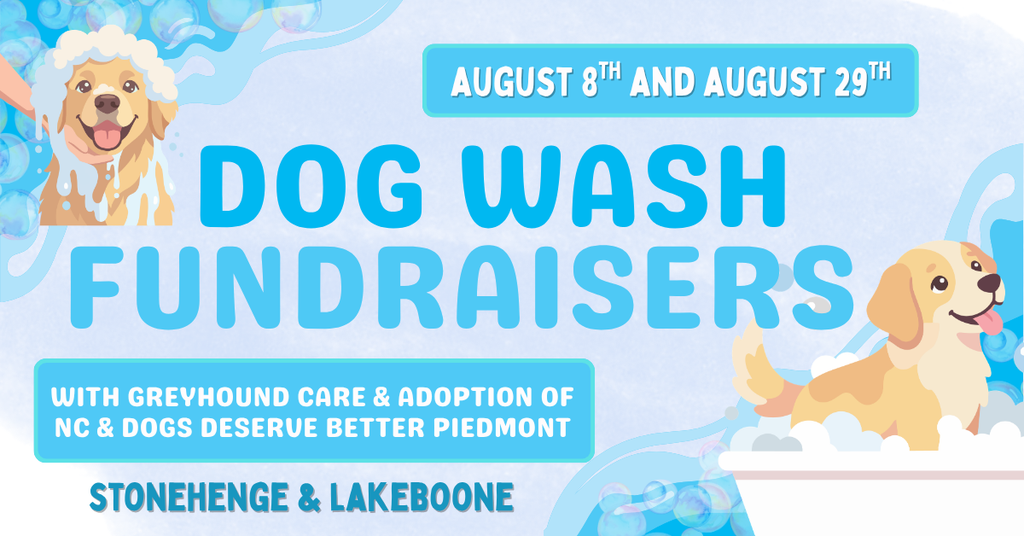 Dog wash fundraiser flyer