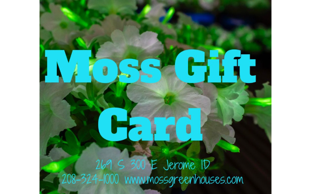 Moss Greenhouses