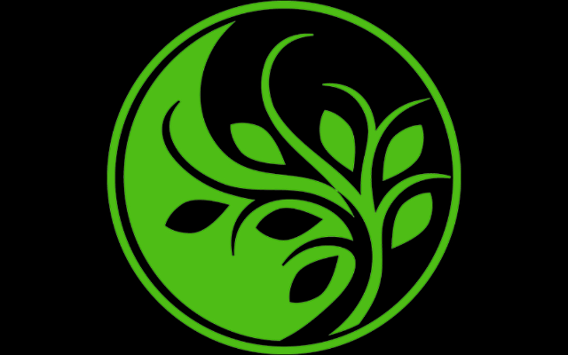 Wellness Through Balance