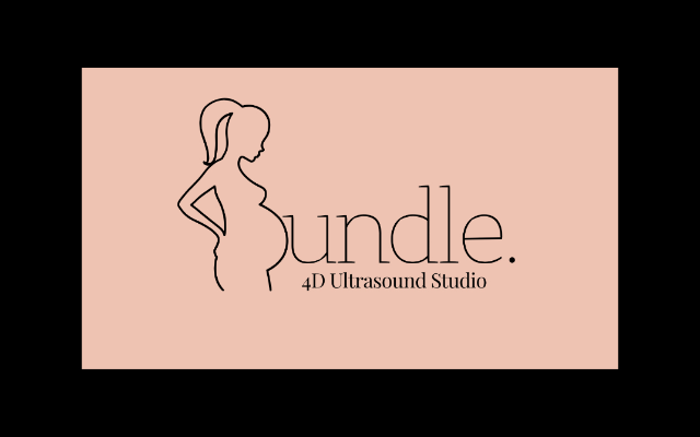 Bundle 4D Ultrasound Studio