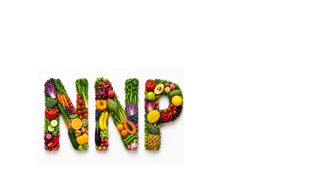 NNP Services Inc.