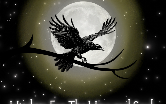 Wisdom For The Wayward Soul