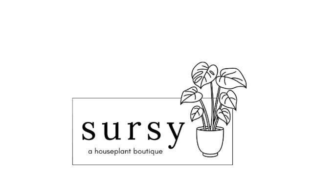 Sursy
