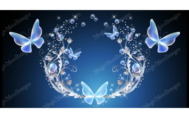Awaken & Align