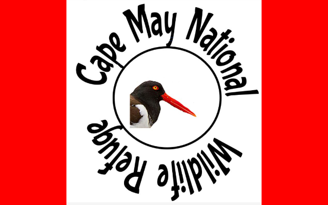 Friends of Cape May National Wildlife Refuge