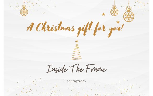 Inside The Frame Photography