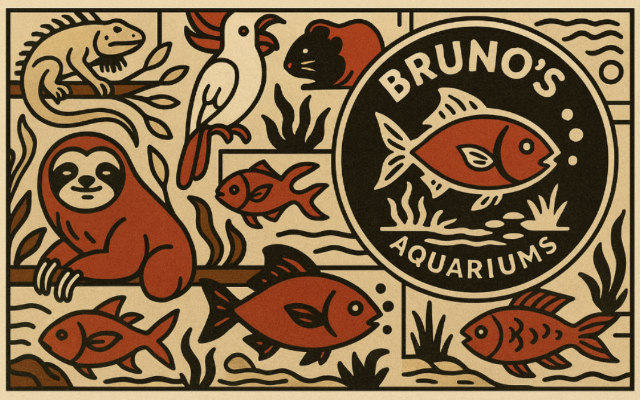 Bruno's Aquarium