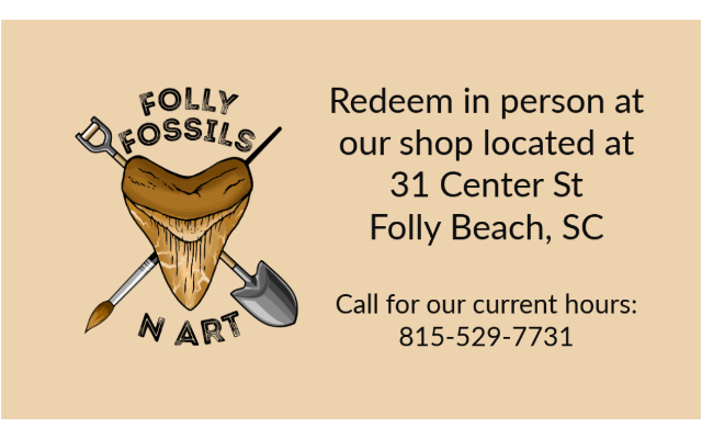 Folly Fossils N Art