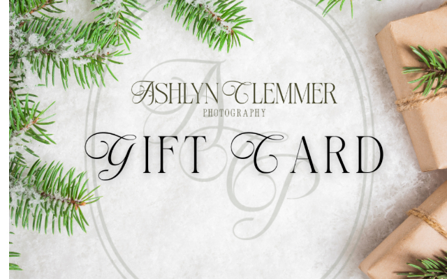 Ashlyn Clemmer Photography LLC