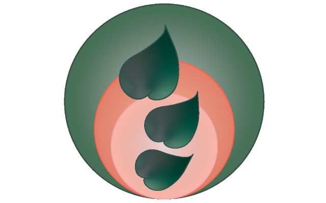 SageFemme Wellness LLC