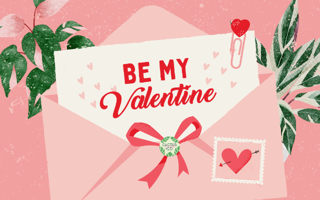 Cactus + Co. Camano Island, LLC