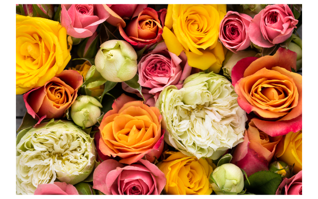 Spa City Barefoot Massage LLC