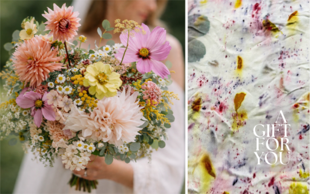 The Natural Dye Company