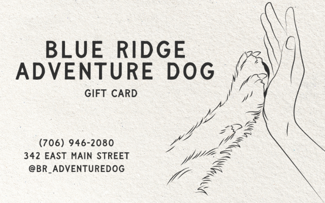 Blue Ridge Adventure Dog