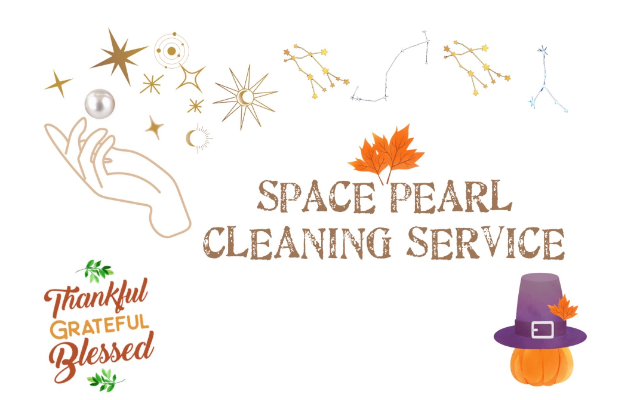 Space Pearl Cleaning Service