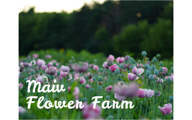 Maiv Flower Farm