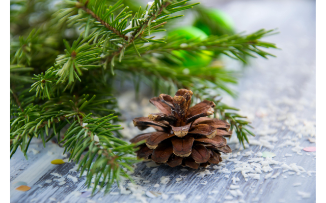 Sage Mountain Spa & Wellness, LLC