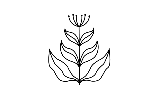 Meadowsweet Medical PLLC