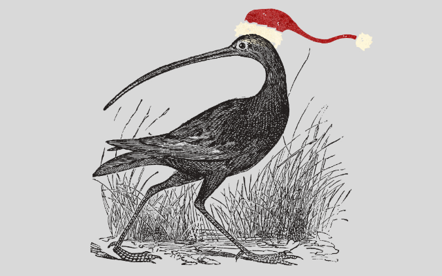 Coastal Expeditions, Inc.