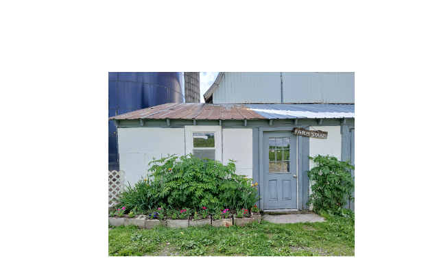 Wormont Woolies CSA