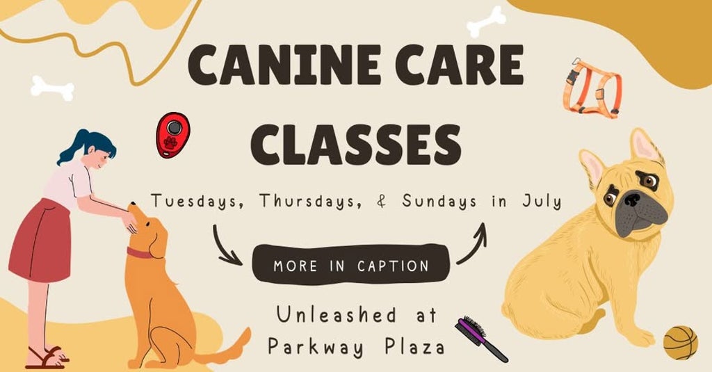 Canine Care Classes