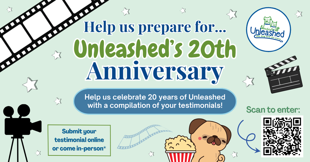 20th Anniversary Testimonial request