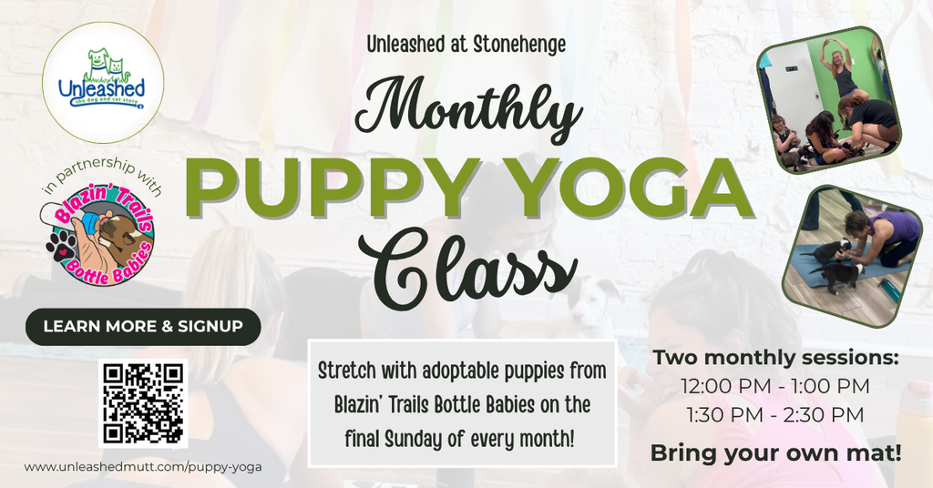Sign-up for Puppy Yoga