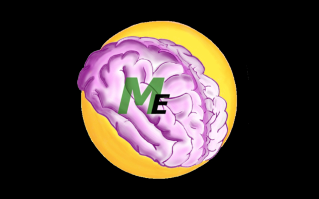 Mental Eclipse LLC