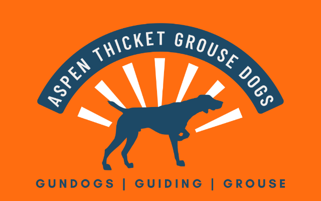 Aspen Thicket Grouse Dogs