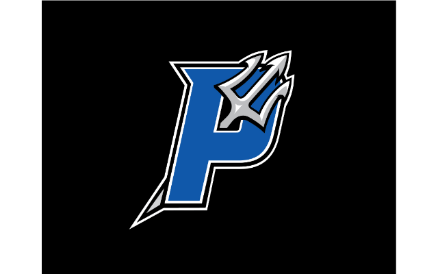 Blue Devil Designs
