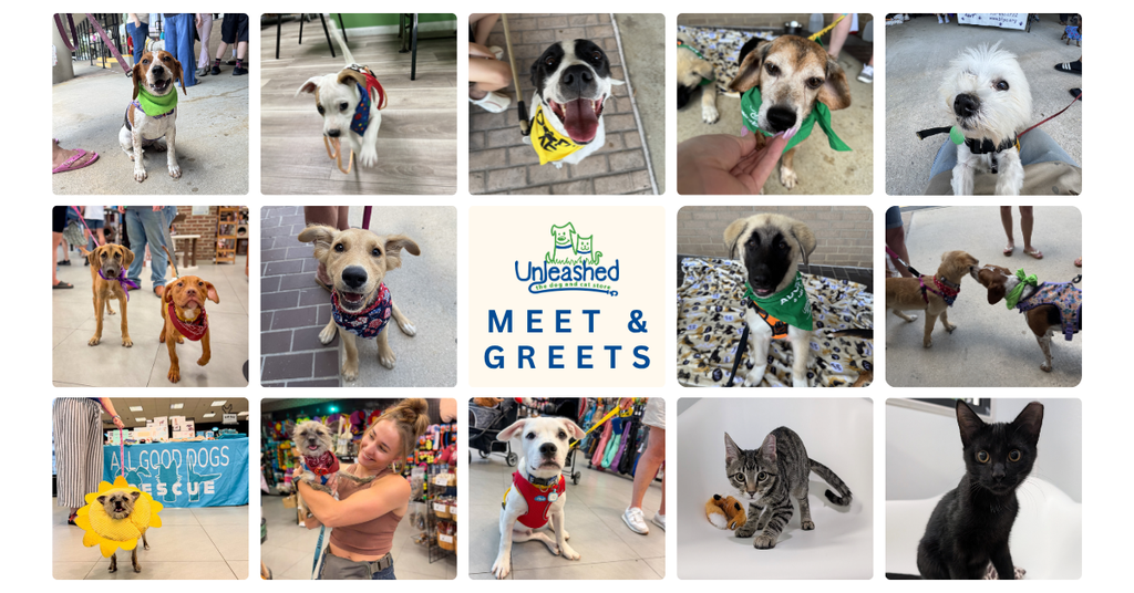 Meet and Greets
