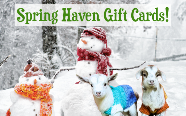 Spring Haven Farm LLC