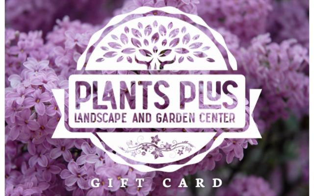 Plants Plus