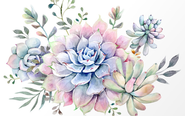 Cloverdale Home & Garden