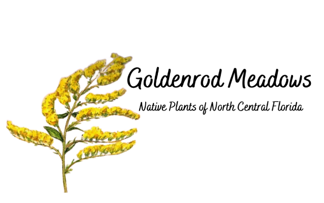 Goldenrod Meadows Farm