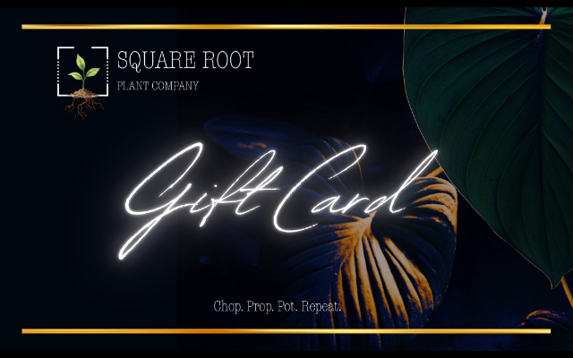 Square Root Plant Company