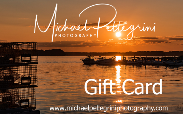 Michael Pellegrini Photography