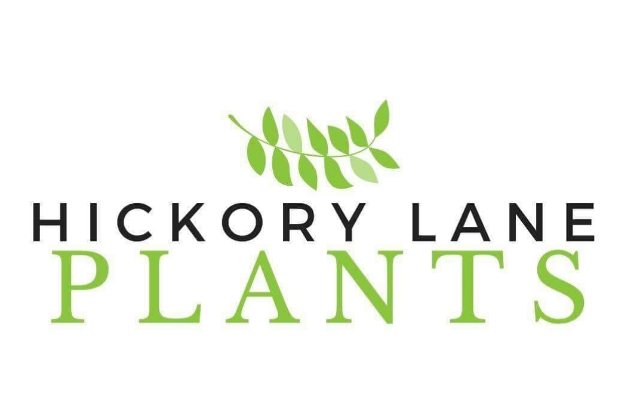 Hickory Lane Plants