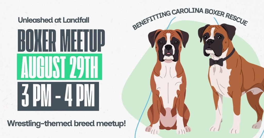 Boxer Meetup flyer
